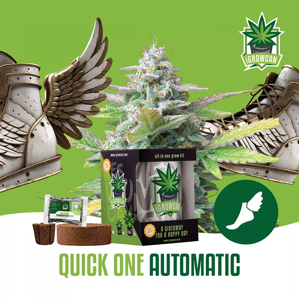 Quick One Automatic iGrowCan - All in One Grow Kit