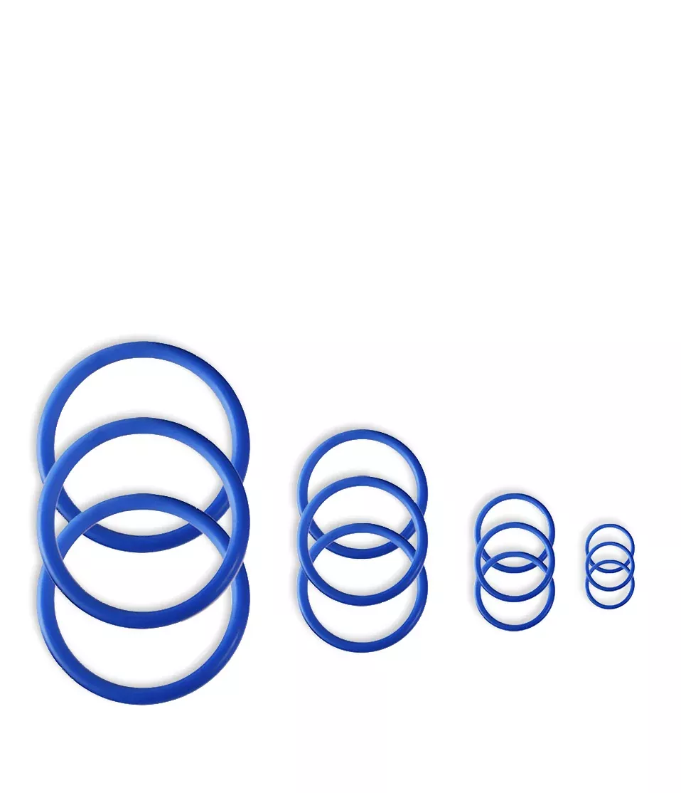 Storz & Bickel Mighty Vaporizer Seal Ring Set