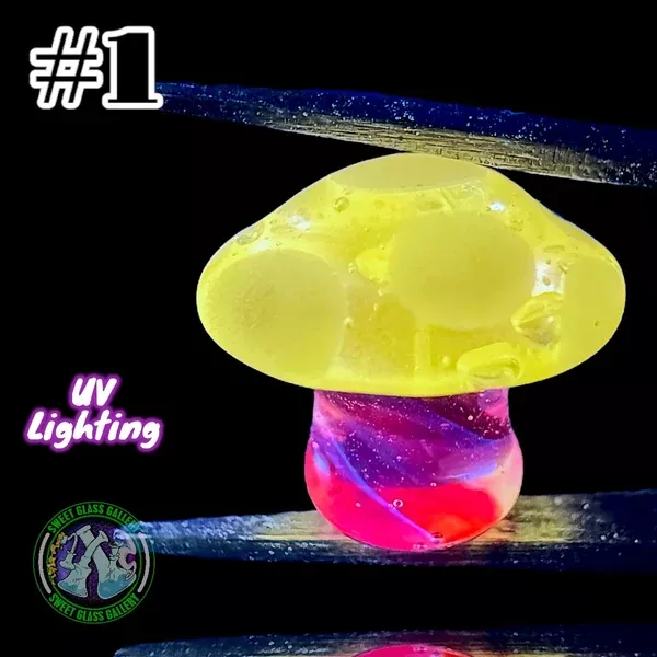 YBOT - Terp Pearl #1 - Mushroom