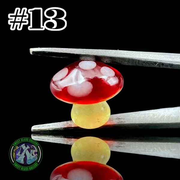 YBOT - Terp Pearl #13 - Mushroom